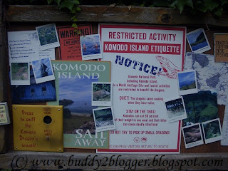 Komodo Dragon - The Giant Lizard Komodo Dragon - The Giant Lizard