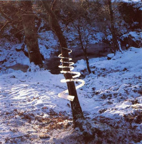 Arte y naturaleza: Andy Goldsworth 3