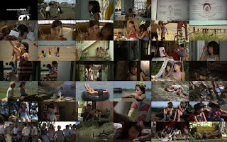 Последнее лето в Бойте / El último verano de la Boyita. 2009. DVD.