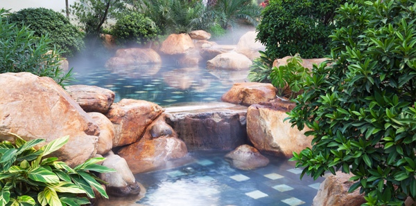 Tips Membuat Taman Air untuk Rumah Minimalis Tips Membuat Taman Air untuk Rumah Minimalis
