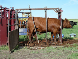 Clipping on the range