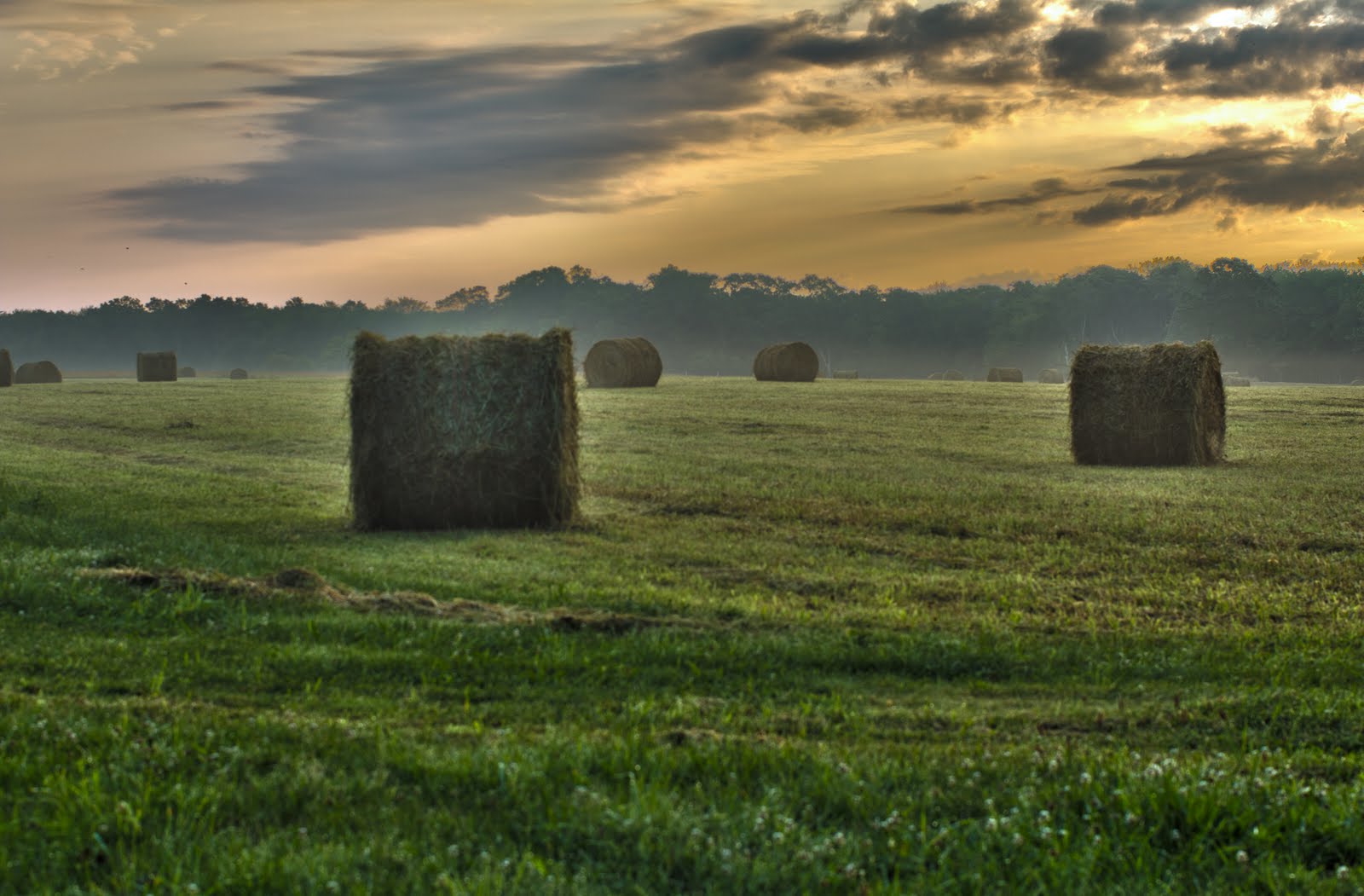 One Shutter Move Hay Farm Dartmouth MA
