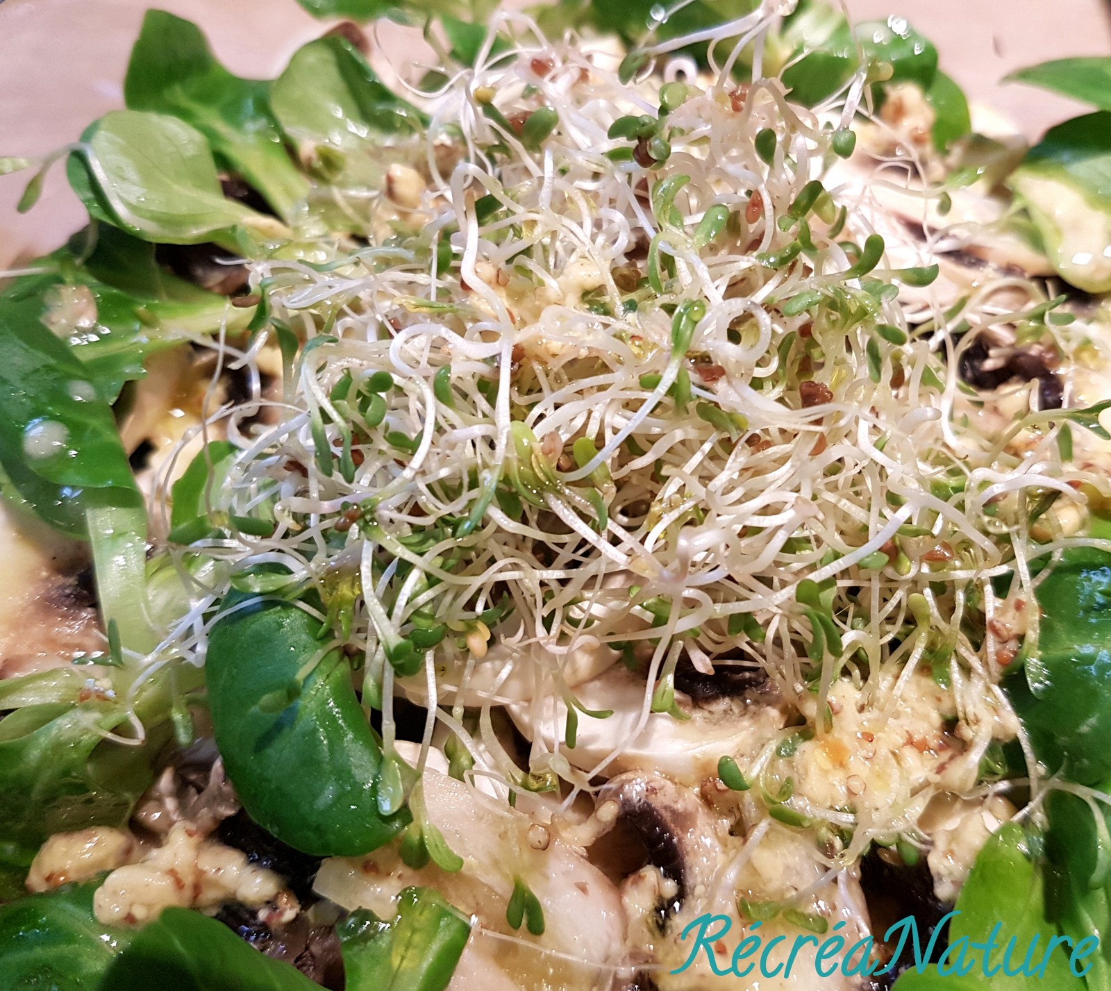 Salade d'Hiver aux Champignons de Paris, à la Mâche et aux Graines