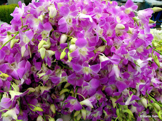 MERCADO DE LAS FLORES PAK KHLONG TALAT, BANGKOK. TAILANDIA