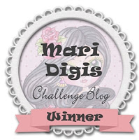 Mari Digis Challenge Winner