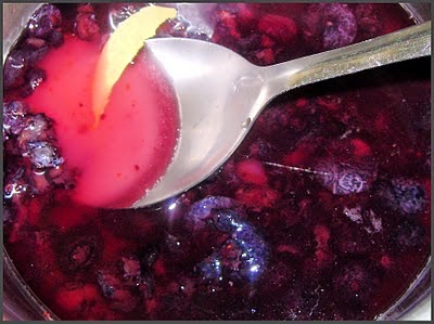 Blueberry Vinaigrette | Ways To Use Summer Fruit