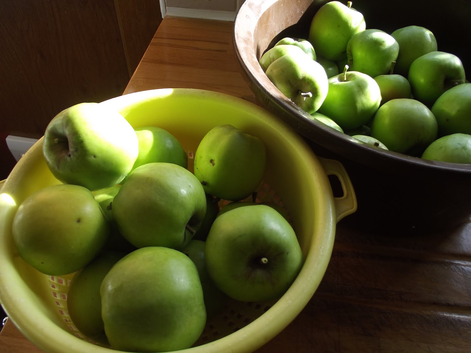 It's apple picking time!