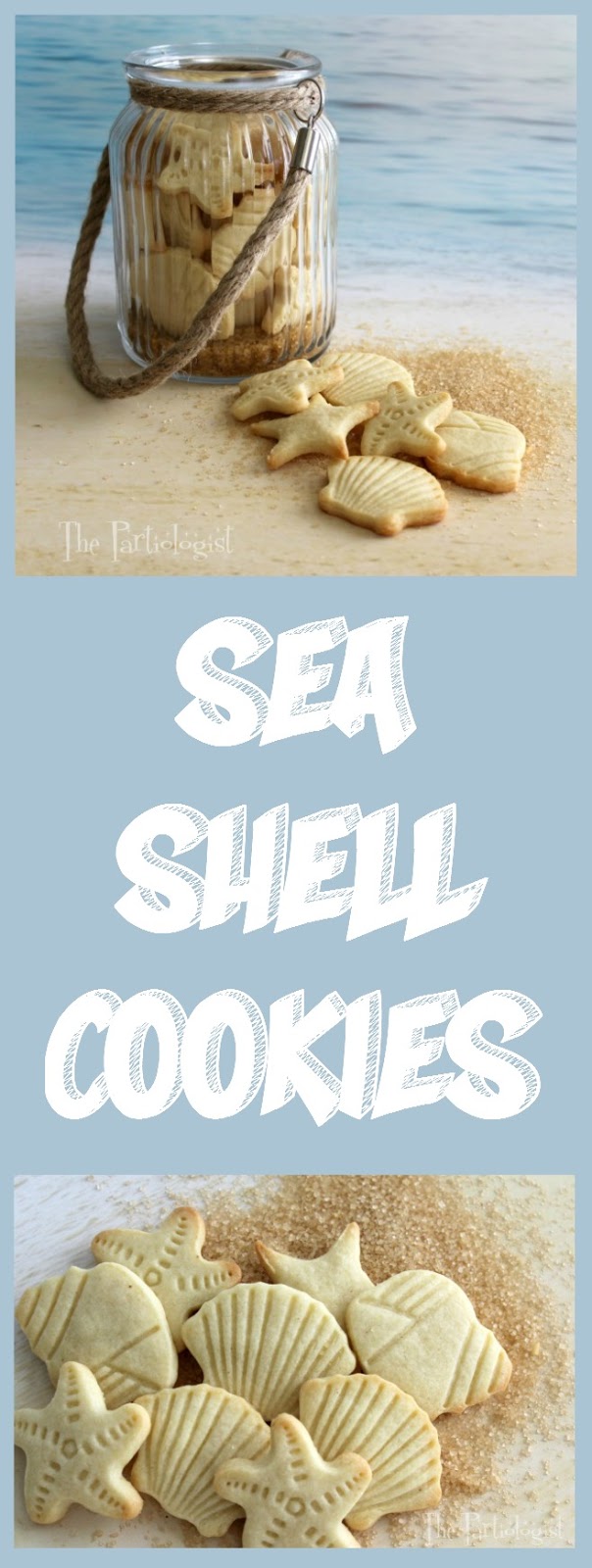 ONE HUNDRED SEA COOKIES IN A BASKET SEA SHELL CRAFT BEACH TROPICAL 100 