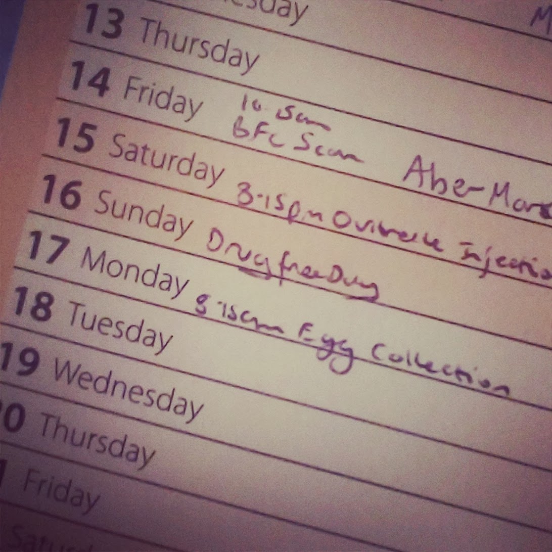 Calendar showing a drug free day