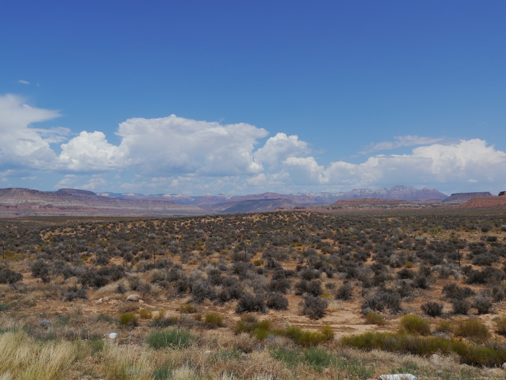 Arizona Road