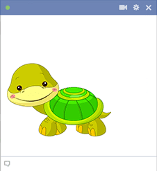Turtle sticker for Facebook