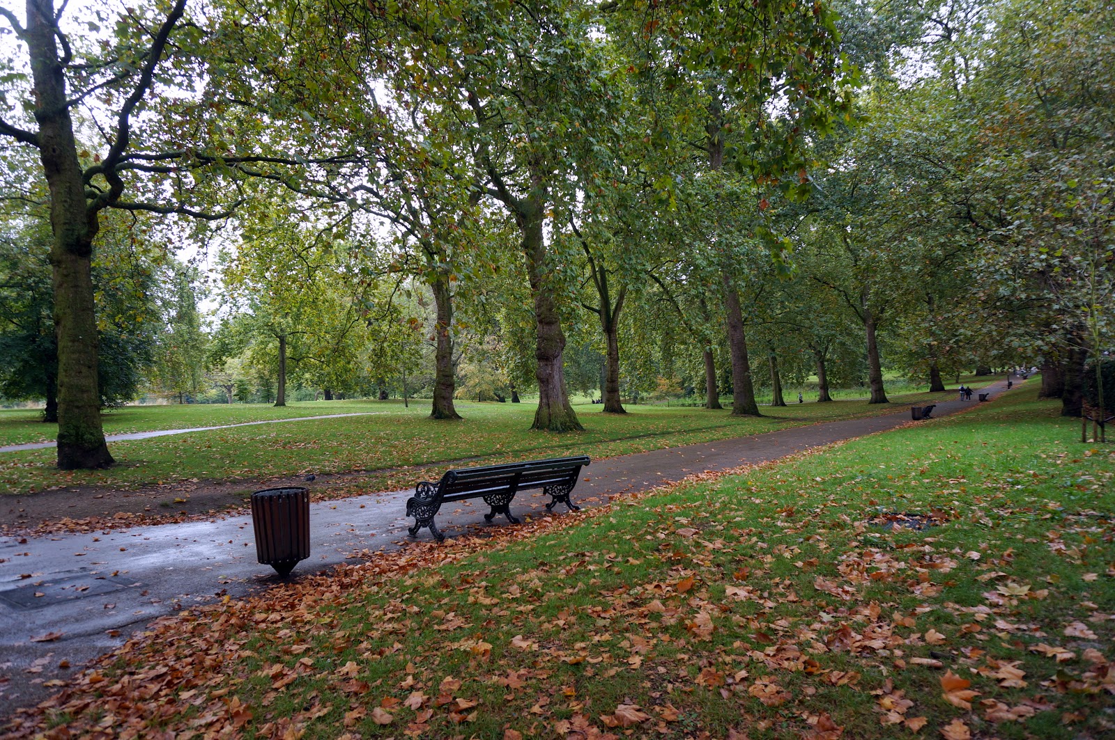 mexpatriate — in the key of steve england swings like a pendulum do