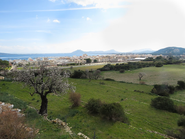 Mallorca Mallorca
