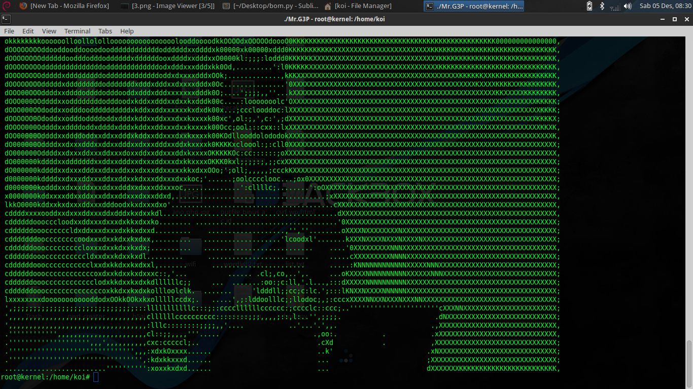 Membuat Gambar ASCII Di Terminal Fredy Blog