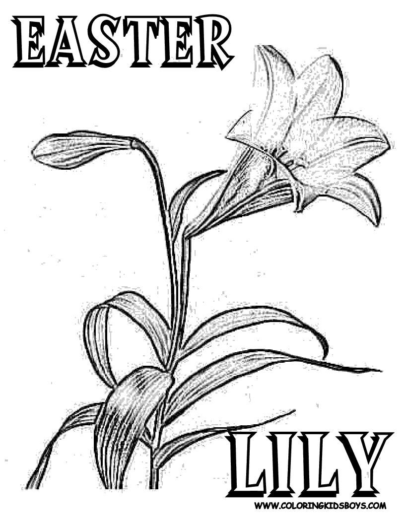 easter lily clipart black and white - photo #43