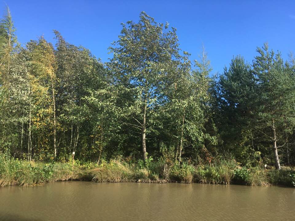 Oaks fishery match results image