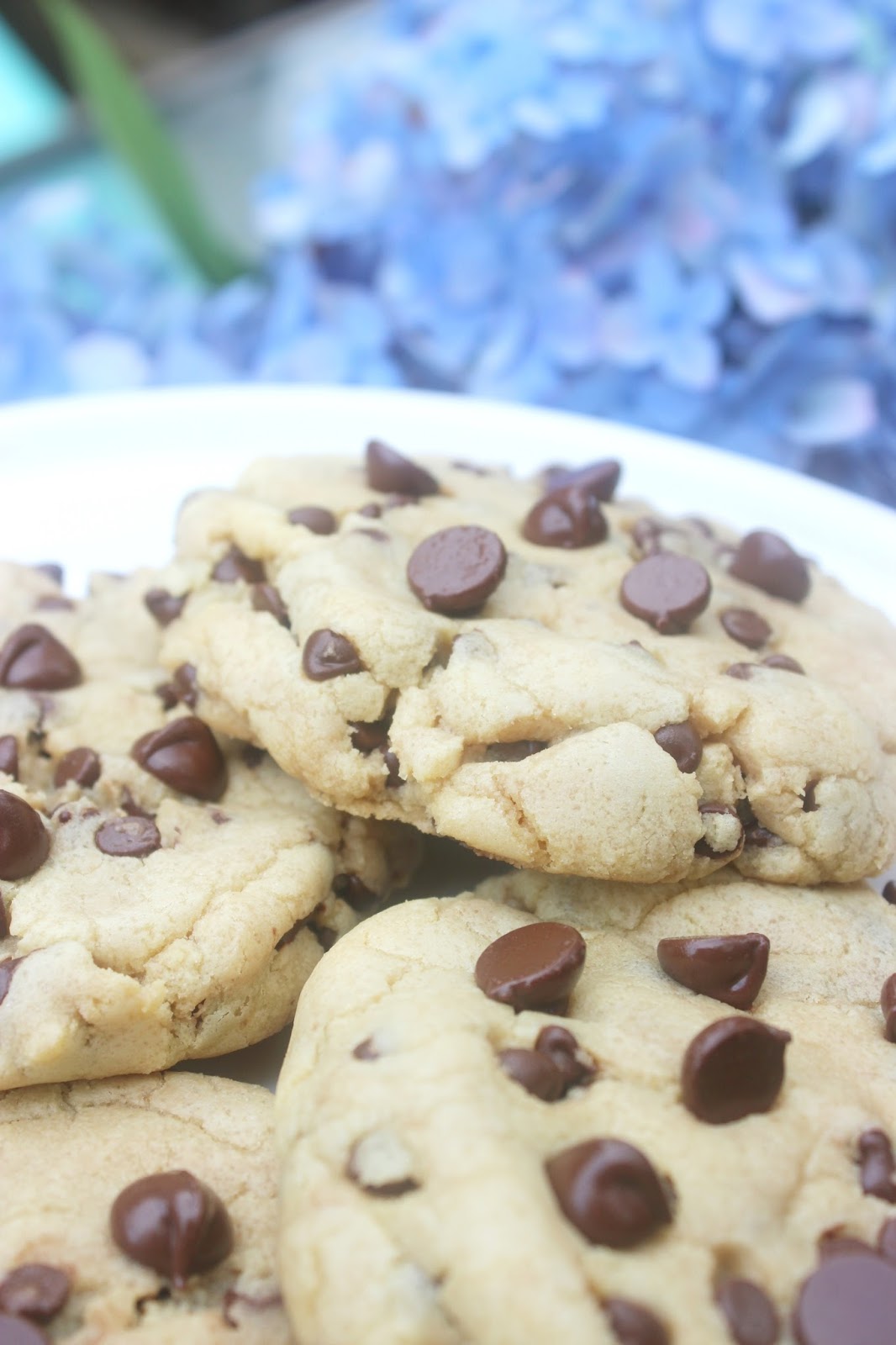 Peachy Blues The BEST OoeyGooey Chocolate Chipy Cookies EVER