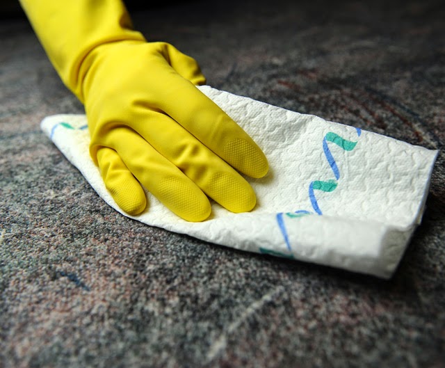 Dawn Dause Re/Max Ultimate Professionals Shorewood Making Your Spring