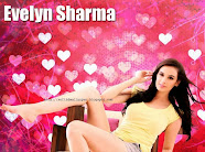 Evelyn Sharma HD Wallpapers