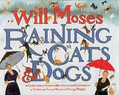 what literary device is raining cats and dogs