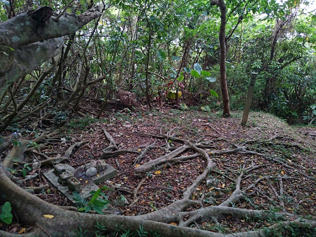 渡嘉敷グスク(渡嘉敷の嶽) 渡嘉敷グスク(渡嘉敷の嶽)の写真