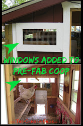 coop chicken windows essentials open chick luxuries light air towards