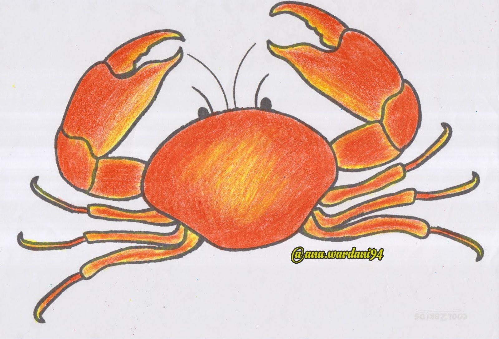 CONTOH MEWARNAI GAMBAR BUAH BUAHAN UNTUK ANAK TK WWW