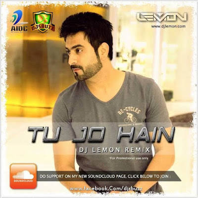 TU JO HAIN ( MR X ) – DJ LEMON REMIX