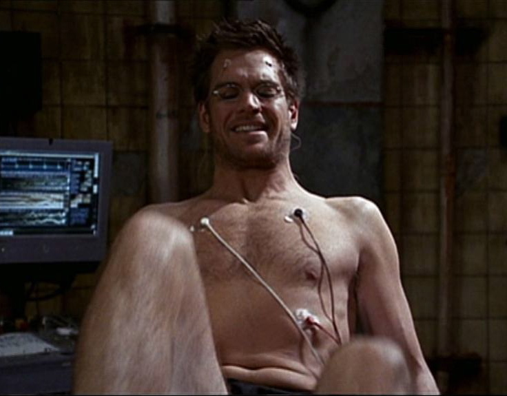 Michael weatherly nude pics.