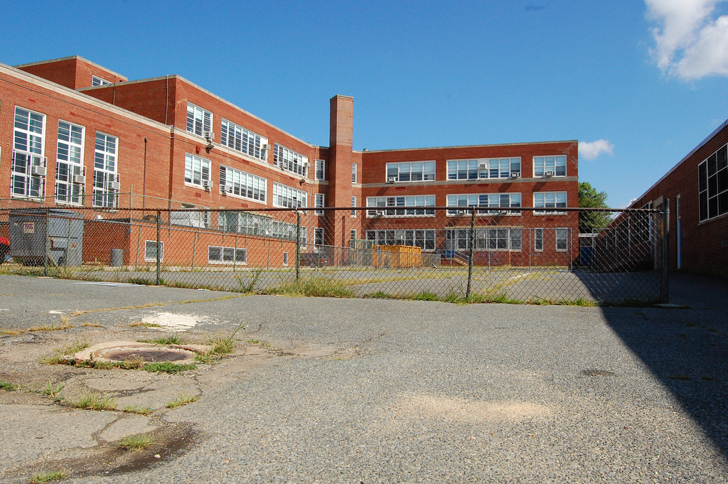 zerospinzone HOW VALUABLE IS A SCHOOLYARD TREE?