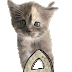Chatterer Cat Alphabet.
