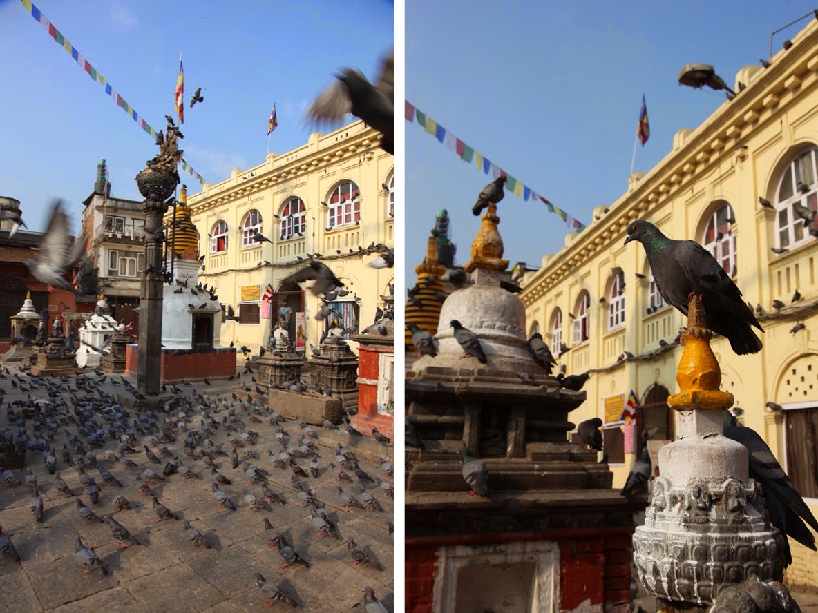 小太陽 絕地 天行尼泊爾 完 漫遊古城加德滿都 Kathmandu
