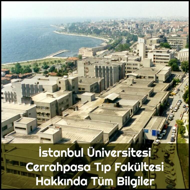 asfaltlama e konusmak tanima istanbul universitesi capa tip fakultesi hastanesi digirolamoantonina com