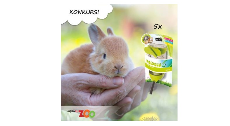 Wygraj poidełko o pojemności 600 ml dla królika Konkurs