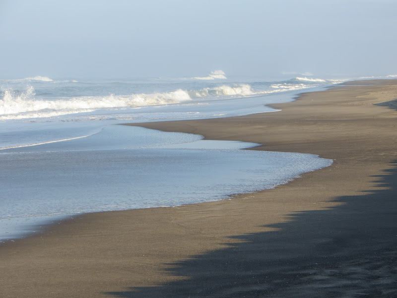 Cing Spots Appaloosas Neskowin Beach trip