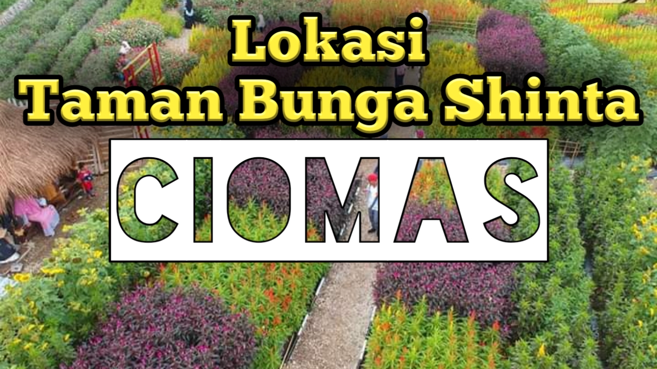 Taman Bunga Shinta  Rekomendasi Wisata Terbaru Di Banten 