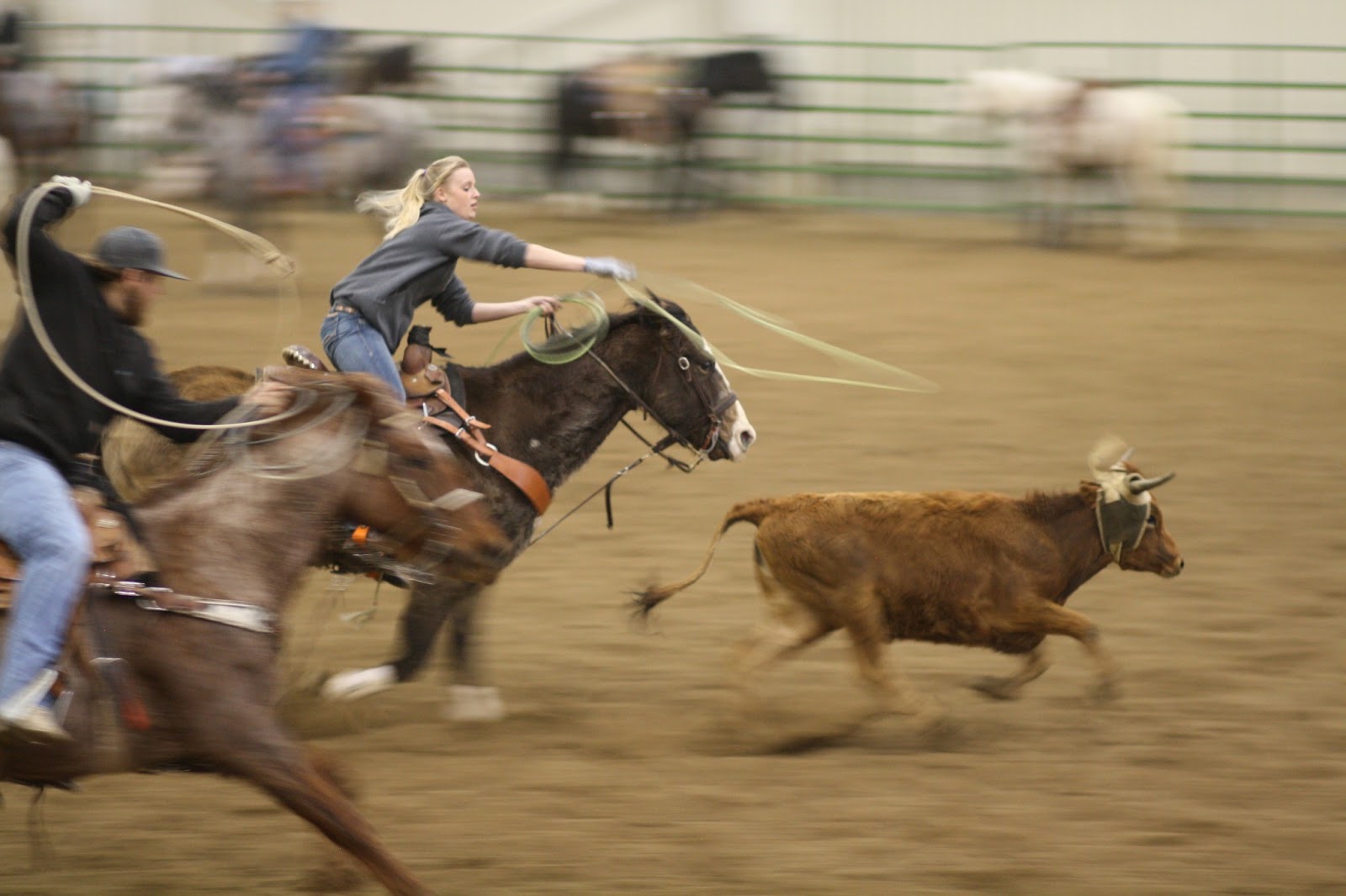 Luke Blair Photography: Team Roping at the Arena in Casper, WY