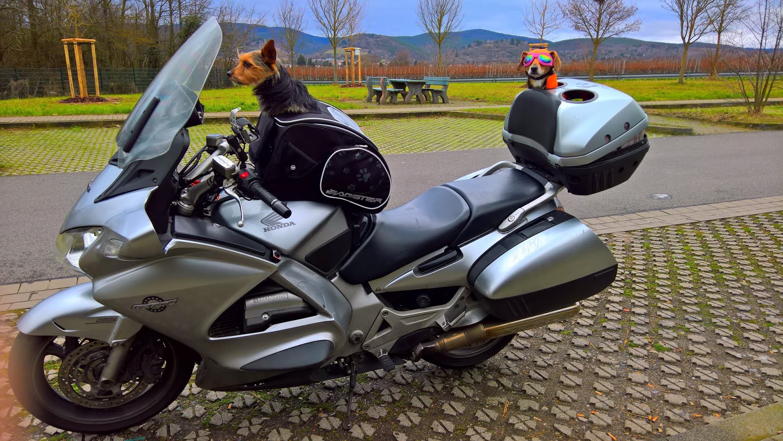 Der, der mit den Hunden… MotorradTourenfahrer.de