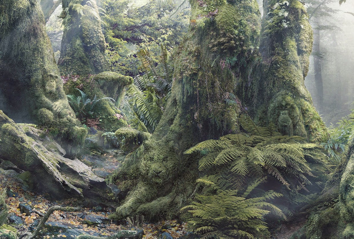 03-Anaïs-Boileau-WWF-Marcel-Hidden-Animals-in-the-Rainforest-www-designstack-co