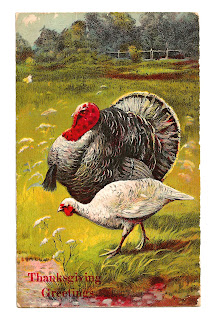 Vintage Thanksgiving Clip Art Thanksgiving Turkey Printable Greeting