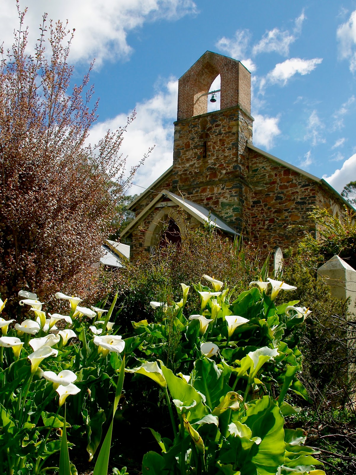 No. 11 Auld Kirk Sidmouth
