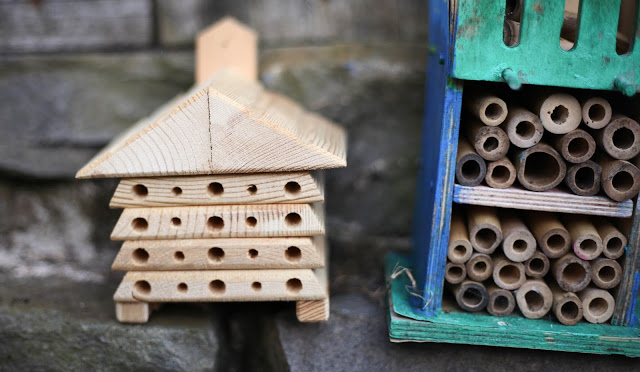 bug hotel