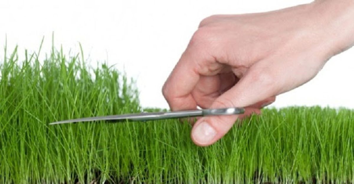 manfaat-mencukur-bulu-kemaluan