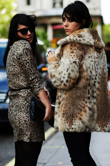 fur fetish pics Howard stern porn
