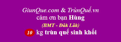 Trùn quế Nguyễn Thị Định