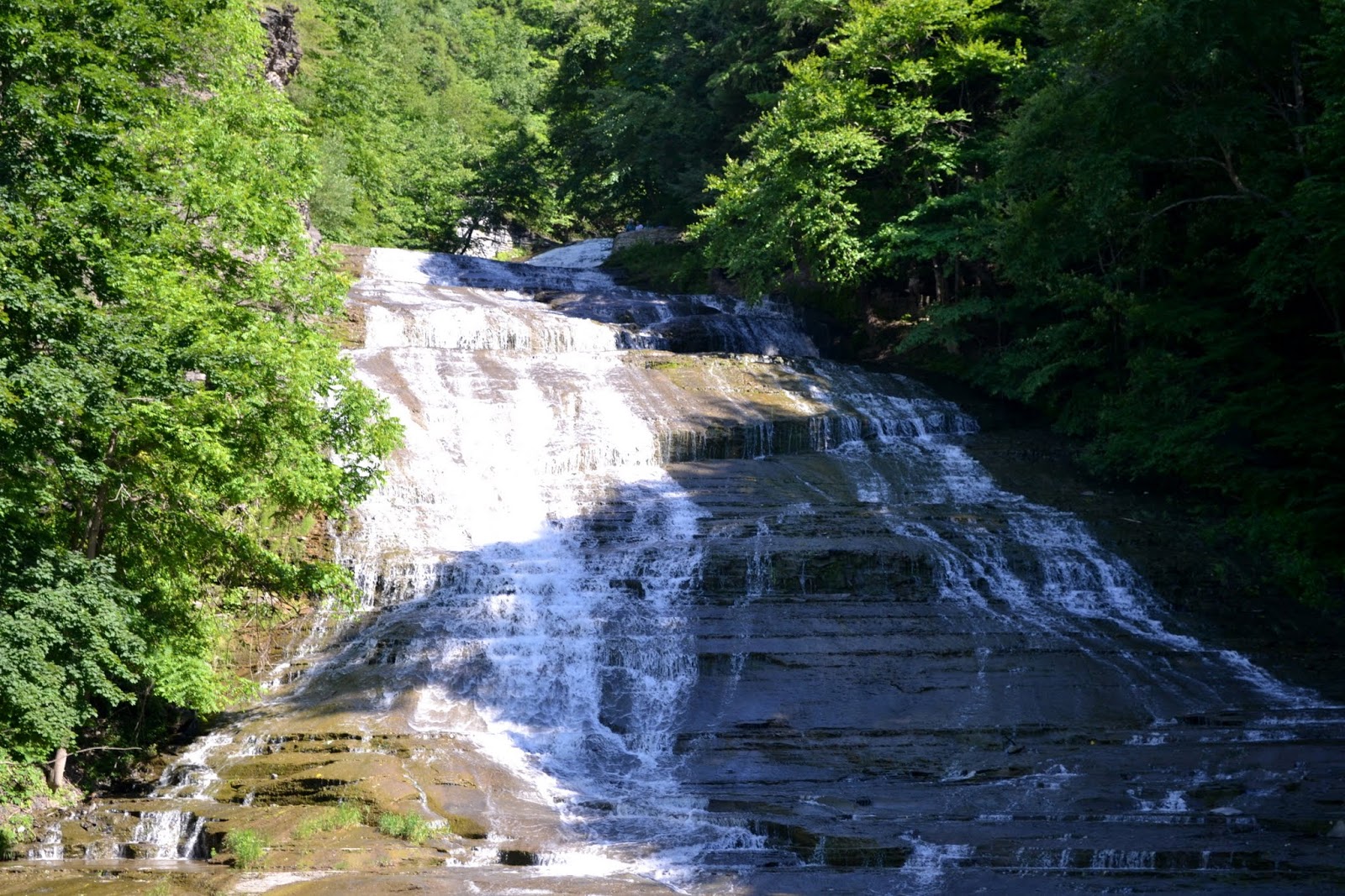 Живописный хайвей Каюга, штат Нью-Йорк (Cayuga Lake Scenic Byway)