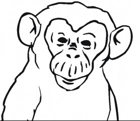 Chimpanzee Coloring Pages To Kids