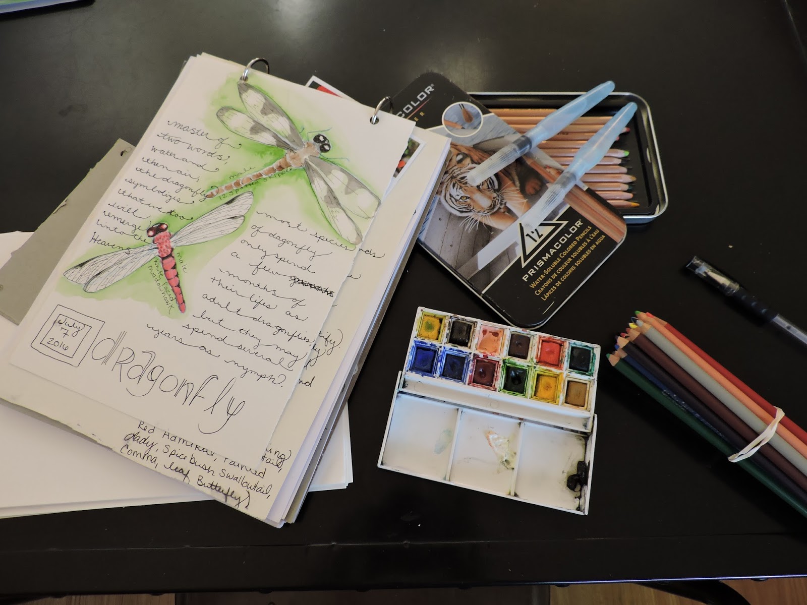 Supplies for Nature Journals