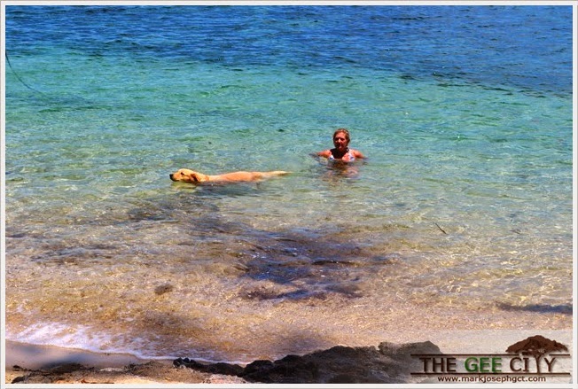The owner Nikki Ingram and her dog loves the beach