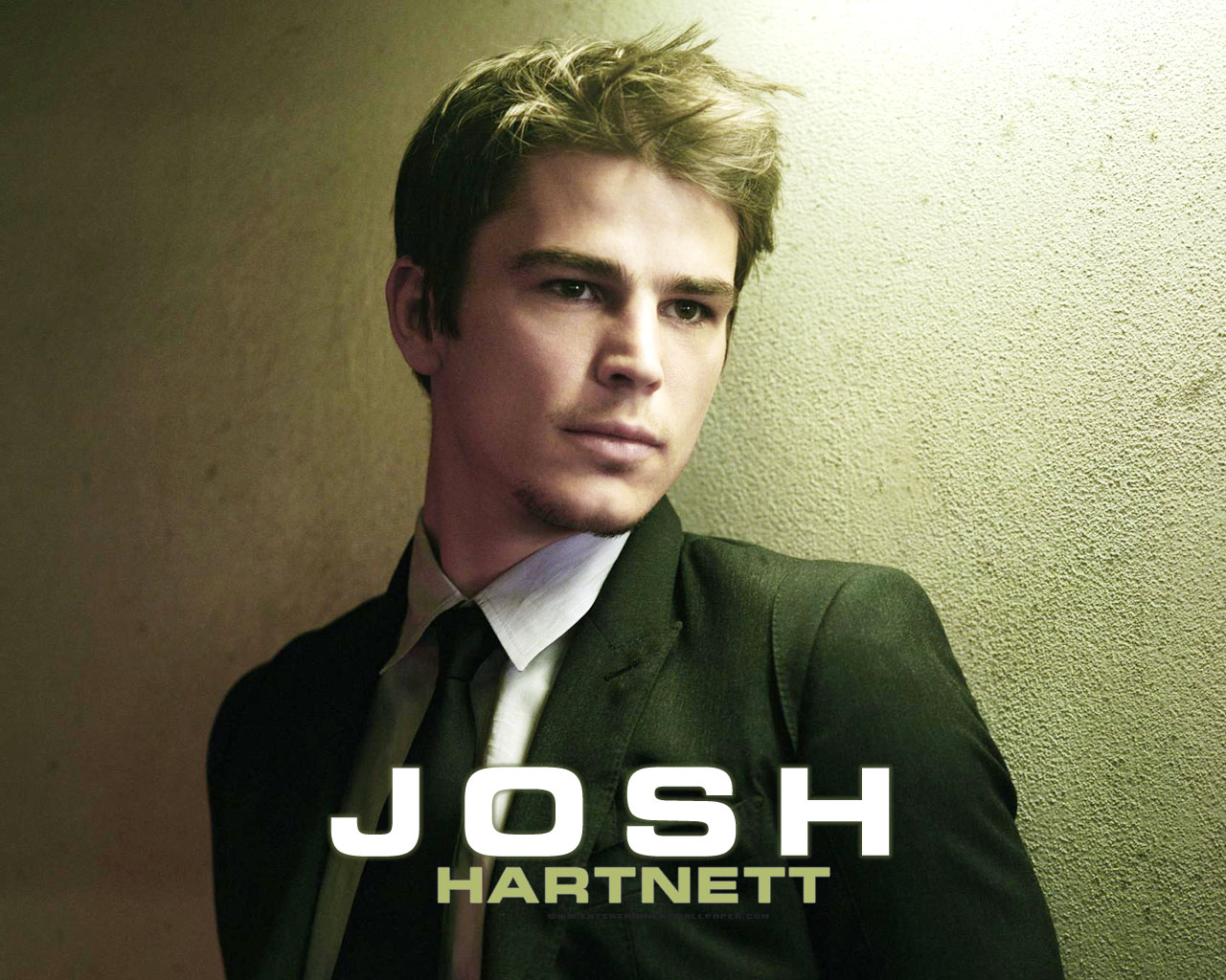 Blogger For Wallpaper: josh hartnett